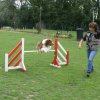 agility 2011-07-24